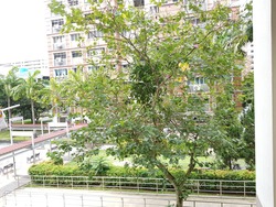 Blk 508 Serangoon North Avenue 4 (Serangoon), HDB 4 Rooms #197130542